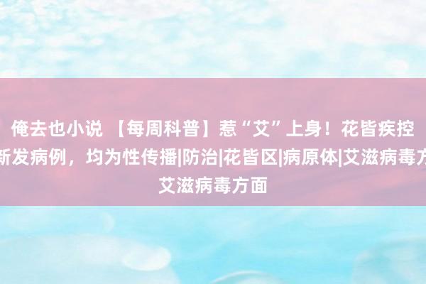 俺去也小说 【每周科普】惹“艾”上身！花皆疾控：新发病例，均为性传播|防治|花皆区|病原体|艾滋病毒方面
