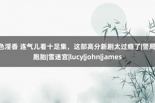 淫色淫香 连气儿看十足集，这部高分新剧太过瘾了|警局|双胞胎|雪迷宫|lucy|john|james