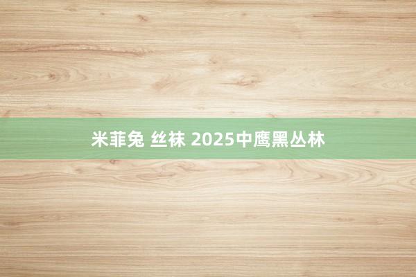 米菲兔 丝袜 2025中鹰黑丛林