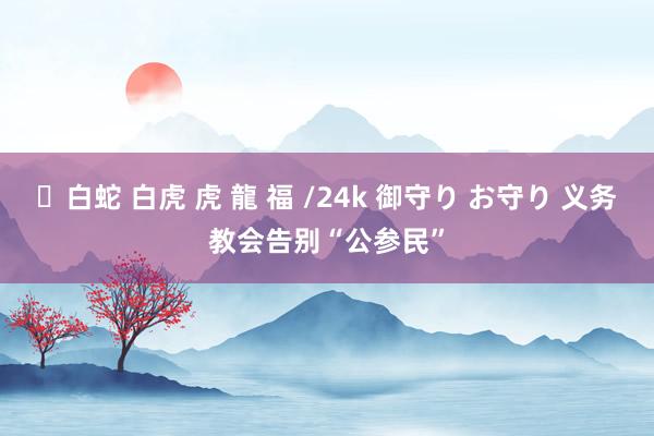 ✨白蛇 白虎 虎 龍 福 /24k 御守り お守り 义务教会告别“公参民”