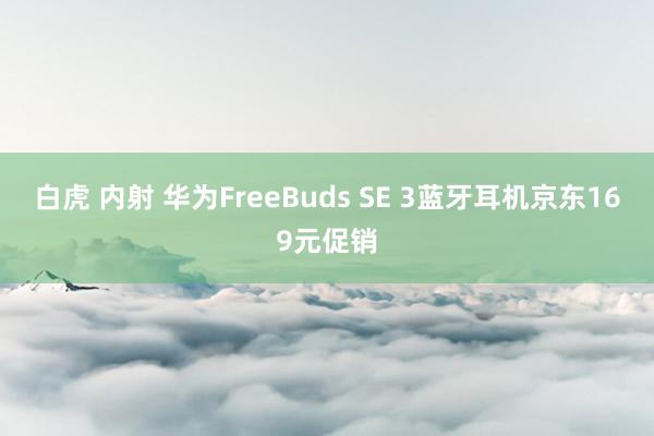 白虎 内射 华为FreeBuds SE 3蓝牙耳机京东169元促销