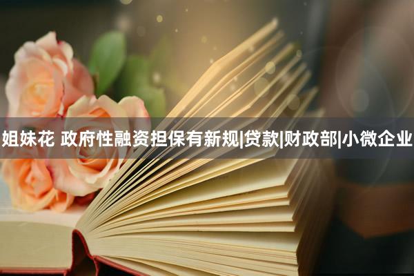 姐妹花 政府性融资担保有新规|贷款|财政部|小微企业