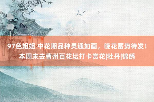 97色姐姐 中花期品种灵通如画，晚花蓄势待发！本周末去曹州百花坛打卡赏花|牡丹|锦绣