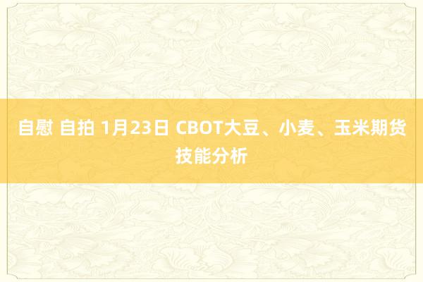 自慰 自拍 1月23日 CBOT大豆、小麦、玉米期货技能分析