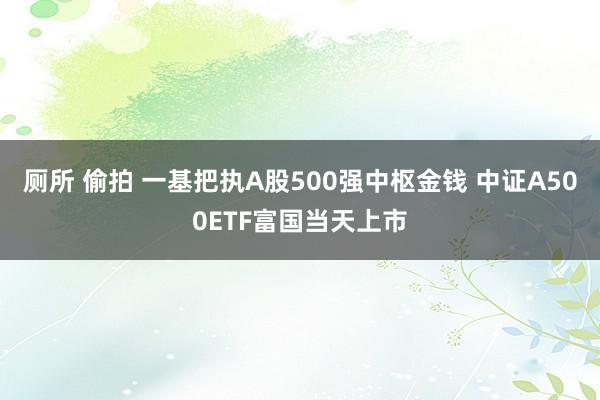 厕所 偷拍 一基把执A股500强中枢金钱 中证A500ETF富国当天上市