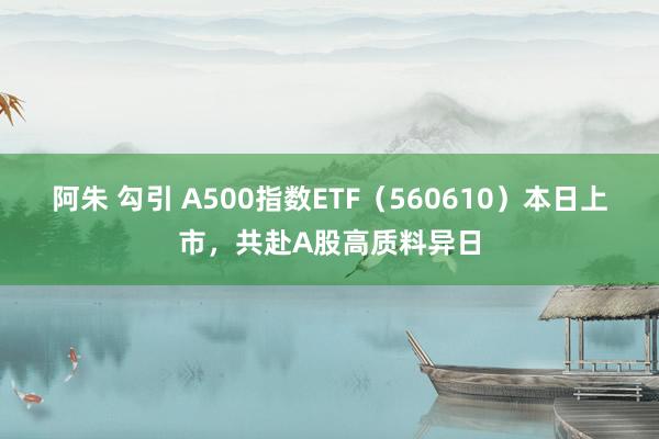 阿朱 勾引 A500指数ETF（560610）本日上市，共赴A股高质料异日