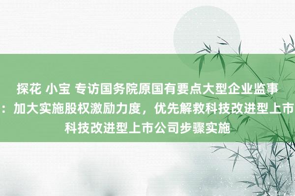 探花 小宝 专访国务院原国有要点大型企业监事会主席季晓南：加大实施股权激励力度，优先解救科技改进型上市公司步骤实施